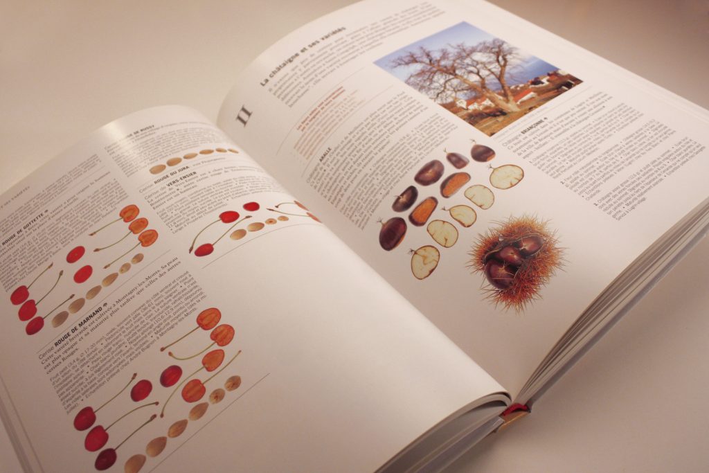 Le patrimoine fruitier de Suisse romande