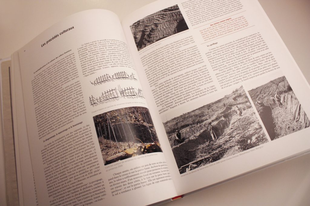 Le patrimoine fruitier de Suisse romande