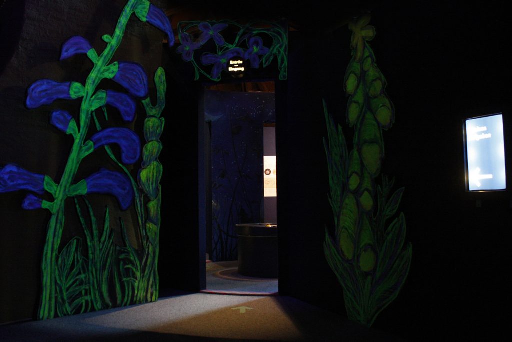 Pro Natura exposition 2019-21