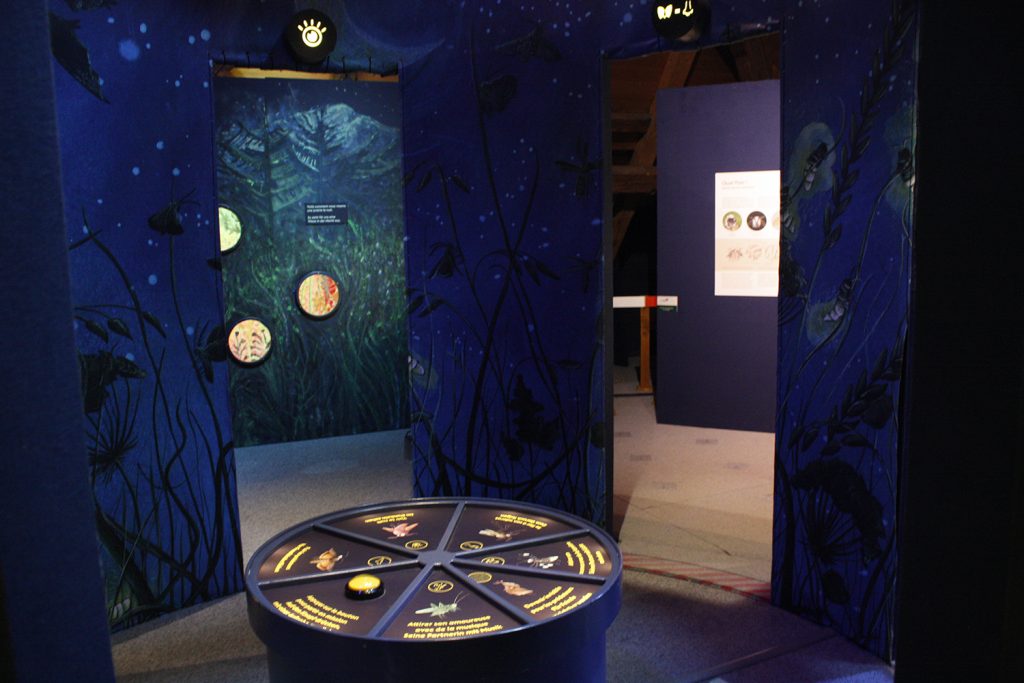 Pro Natura exposition 2019-21