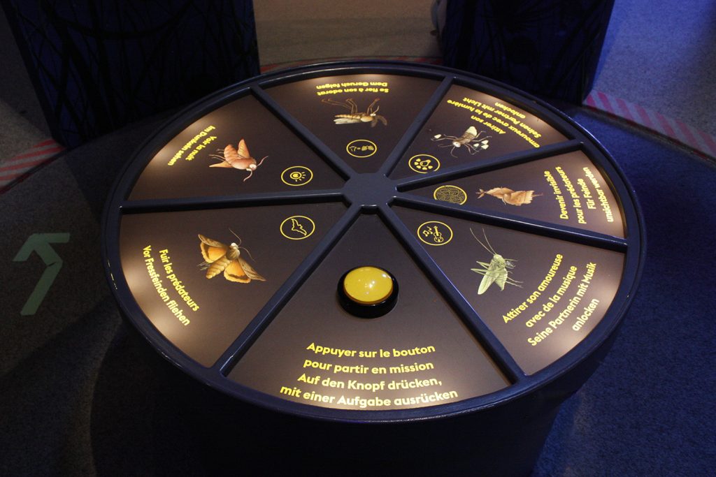 Pro Natura exposition 2019-21