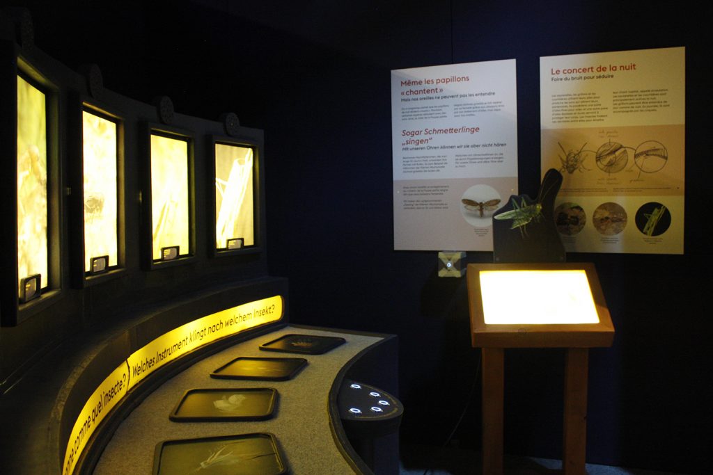 Pro Natura exposition 2019-21