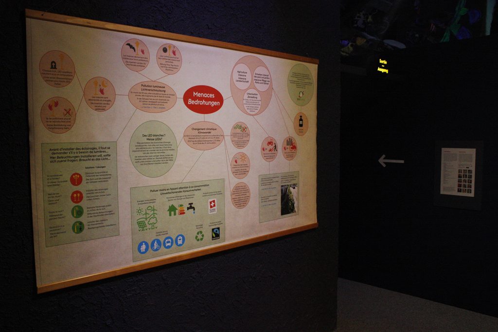 Pro Natura exposition 2019-21