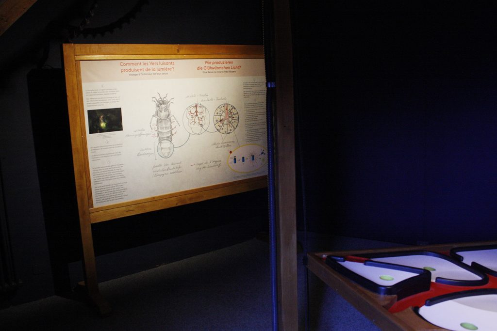 Pro Natura exposition 2019-21