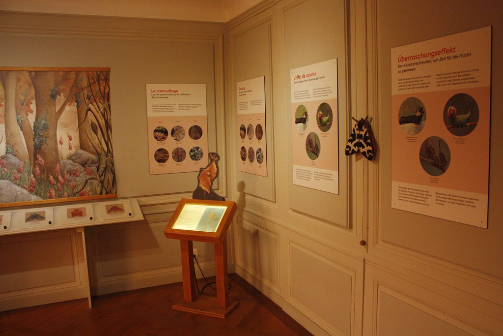 Pro Natura exposition 2019-21