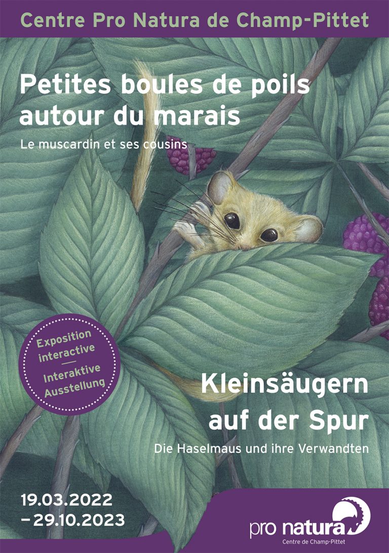 Pro Natura exposition 2022-23
