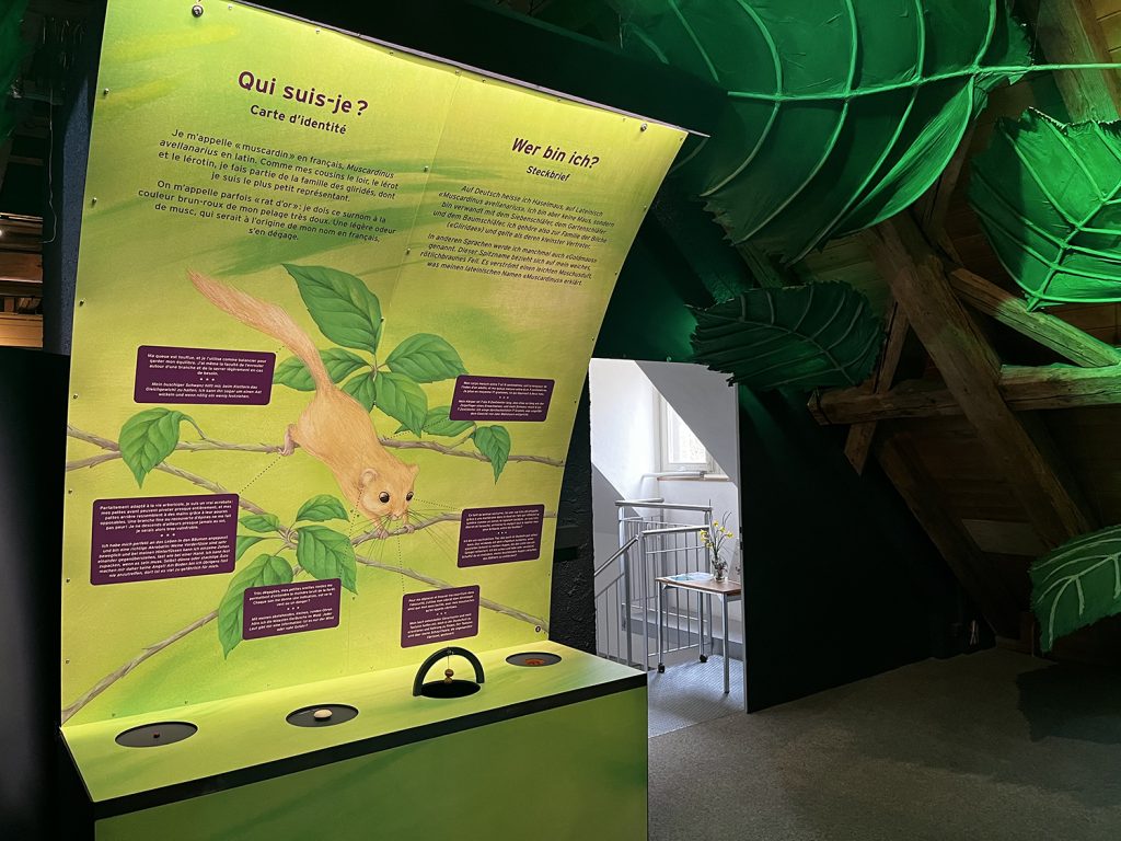 Pro Natura exposition 2022-23
