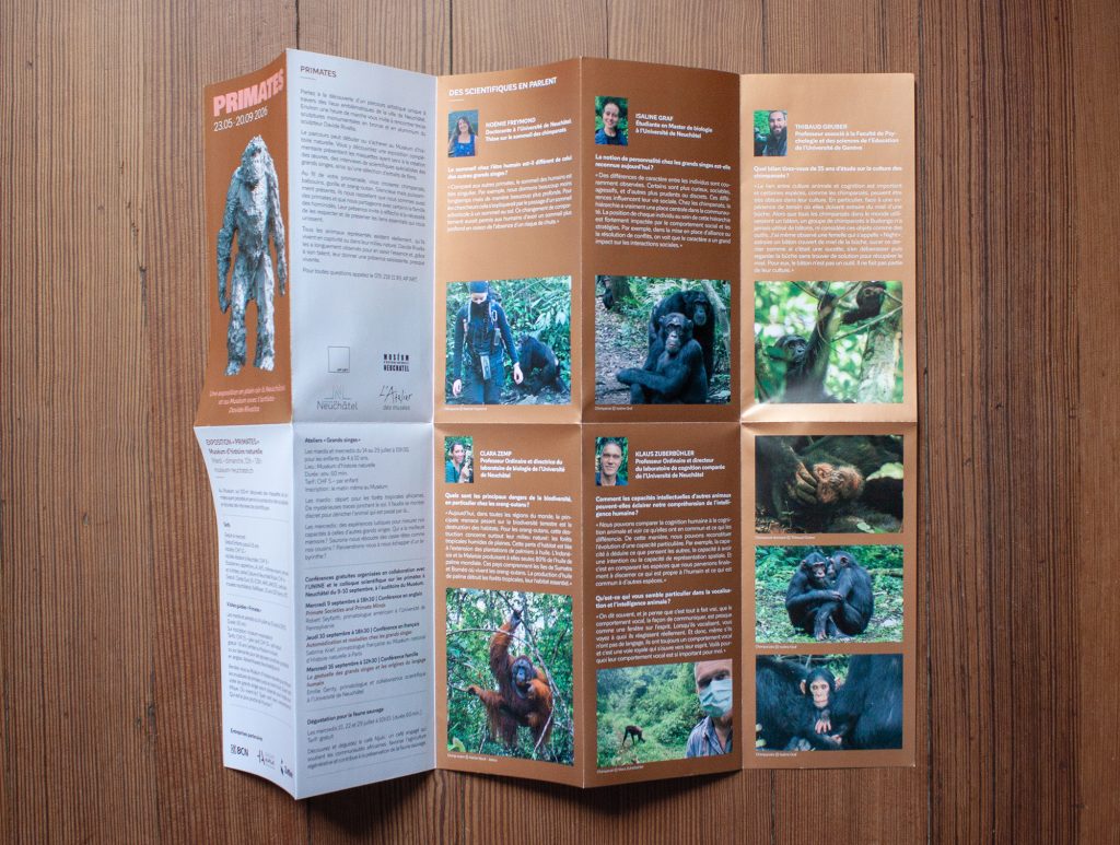 Exposition Primates - Davide Rivalta